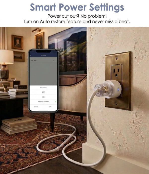 SmartPlug Pro Home Remote